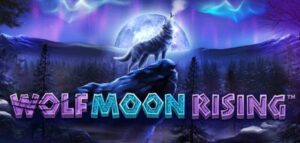 Элементы игрового процесса видеослота Wolf Moon с сайта казино Плейдом play-dom.online